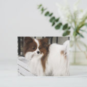 Hershey Kiss Hero Kennel Merchandise Postkarte (Stehend Vorderseite)