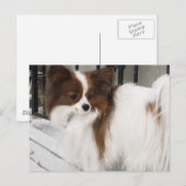 Hershey Kiss Hero Kennel Merchandise Postkarte (Vorne/Hinten)