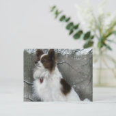 Hershey Kiss Hero Kennel Postcard Postkarte (Stehend Vorderseite)