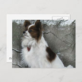 Hershey Kiss Hero Kennel Postcard Postkarte (Vorne/Hinten)