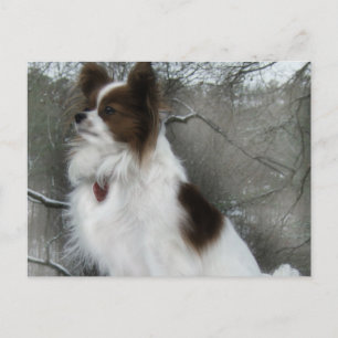 Hershey Kiss Hero Kennel Postcard Postkarte