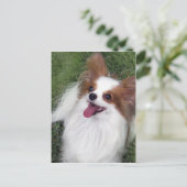 Hershey Kiss Hero Madi Merchandise Postkarte (Stehend Vorderseite)