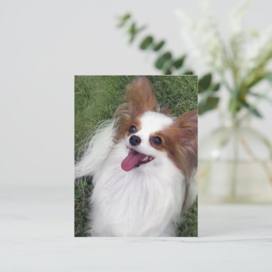 Hershey Kiss Hero Madi Merchandise Postkarte (Stehend Vorderseite)