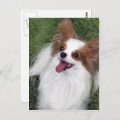 Hershey Kiss Hero Madi Merchandise Postkarte (Vorne/Hinten)