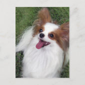 Hershey Kiss Hero Madi Merchandise Postkarte (Vorderseite)