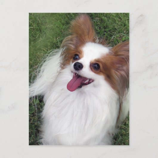 Hershey Kiss Hero Madi Merchandise Postkarte (Vorderseite)