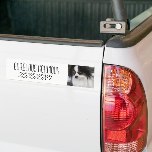 Hershey Kuss-Held Merch Autoaufkleber (Auf Lkw)