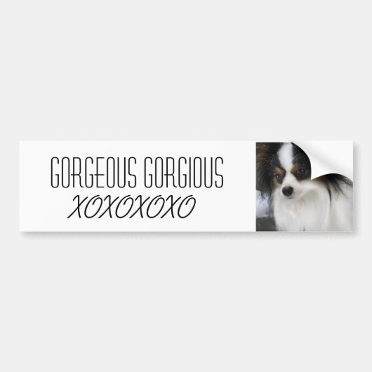 Hershey Kuss-Held Merch Autoaufkleber (Vorne)