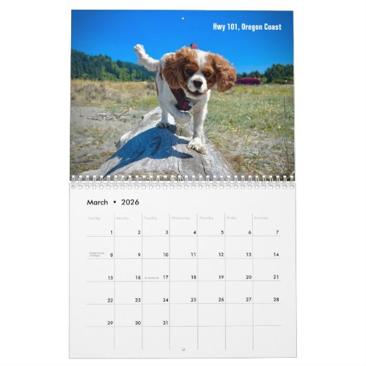 Hershey Pup Cavalier King Charles Spaniel Calendar Kalender (Mär 2026)