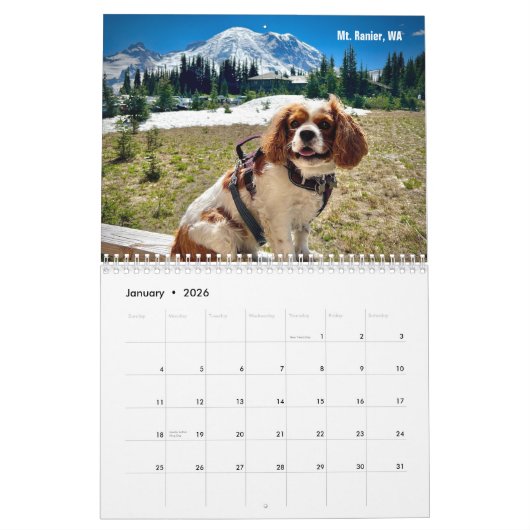 Hershey Pup Cavalier King Charles Spaniel Calendar Kalender (Jan 2026)