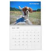 Hershey Pup Cavalier King Charles Spaniel Calendar Kalender (Mär 2027)