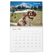 Hershey Pup Cavalier King Charles Spaniel Calendar Kalender (Jan 2027)