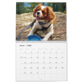 Hershey Pup Cavalier King Charles Spaniel Calendar Kalender (Mär 2026)