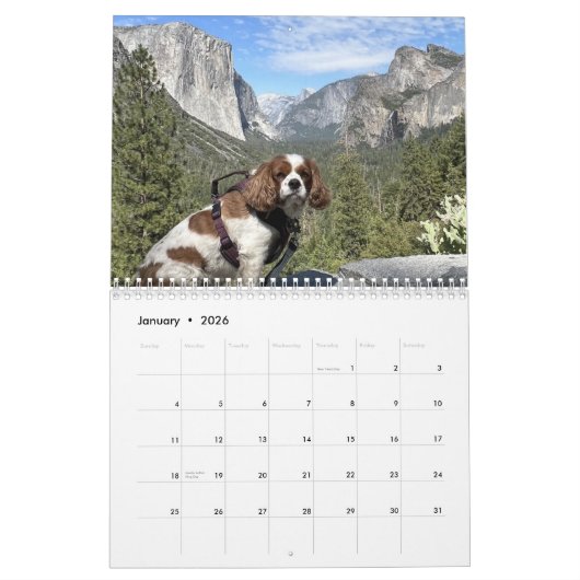 Hershey Pup Cavalier King Charles Spaniel Calendar Kalender (Jan 2026)