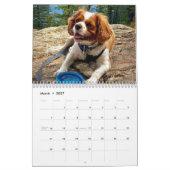 Hershey Pup Cavalier King Charles Spaniel Calendar Kalender (Mär 2027)
