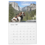 Hershey Pup Cavalier King Charles Spaniel Calendar Kalender (Jan 2027)