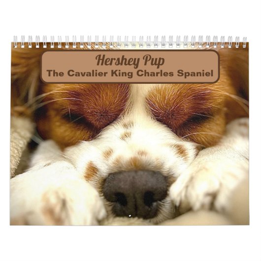 Hershey Pup Niedlich Cavalier King Charles Calenda Kalender (Titelbild)