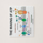 Herstellung der fotosynthetischen ATP-Einstellung Puzzle (Vertikal)