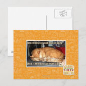 Herstellung der Lasagne Postkarte (Vorne/Hinten)