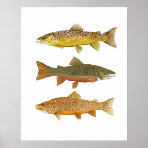 Herstellung eines Tigers Poster