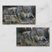 Herumstreichende Wolf-Visitenkarten Visitenkarte (Vorne/Hinten)