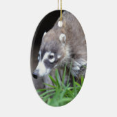 Herumstreichender Coati Keramikornament (Rechts)