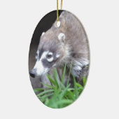 Herumstreichender Coati Keramikornament (Links)