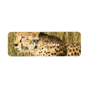 Herumstreichender Gepard-Postsendung-Aufkleber