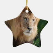 Herumstreichender Löwe Keramikornament (Hinten)