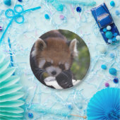 Herumstreichender roter Panda Pappteller (Party)