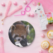 Herumstreichender roter Panda Pappteller (Party)