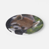 Herumstreichender roter Panda Pappteller (Schrägansicht)