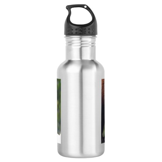 Herumstreichender roter Panda Trinkflasche (Rückseite)