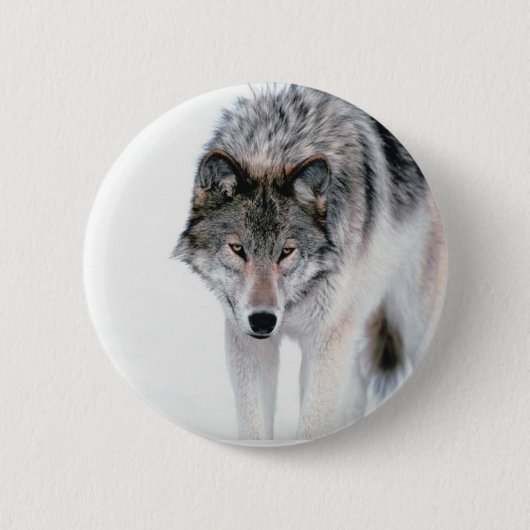 Herumstreichender Wolf Button (Vorderseite)