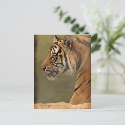 herumwerfen postkarte (Stehend Vorderseite)