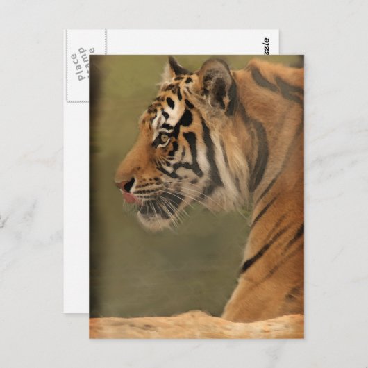 herumwerfen postkarte (Vorne/Hinten)