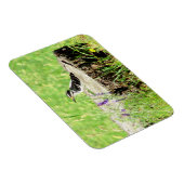 Herunter Woodpecker auf Baumstumpf Magnet (Rechte Seite)