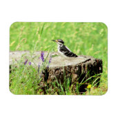 Herunter Woodpecker auf Baumstumpf Magnet (Horizontal)