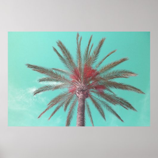 Herunterladbares Blue Sky Palm Tree Foto Poster (Vorne)