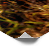 Hervorragend auf ihrem Gebiet Poster (Ecke)