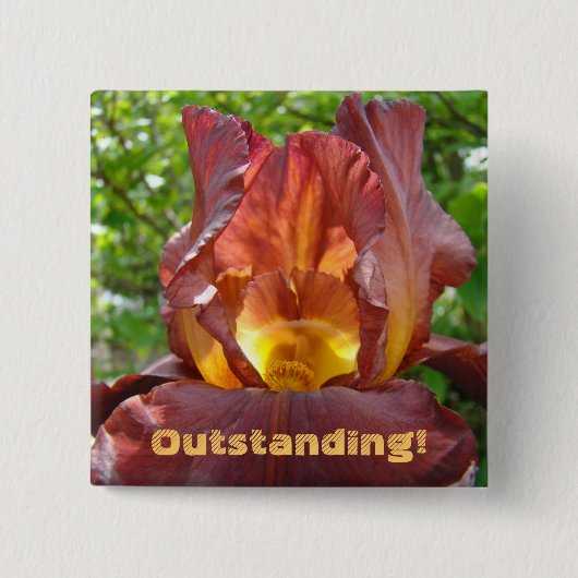 Hervorragend! Knopf Iris Blumen Schule Lehrer Button (Vorderseite)