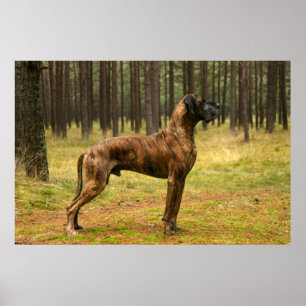 Hervorragende Leistung Poster