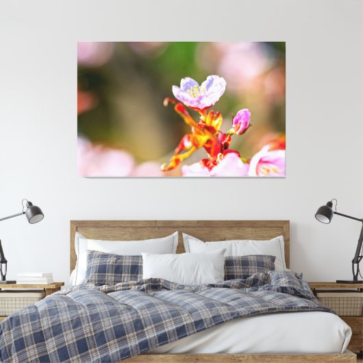 Hervorragende pinkfarbene Sakura-Blume im Frühjahr Leinwanddruck (Insitu (Schlafzimmer))