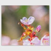 Hervorragende rosa Sakura-Blume Geschenkpapier (Flach)