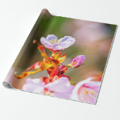 Hervorragende rosa Sakura-Blume Geschenkpapier (Ungerollt)