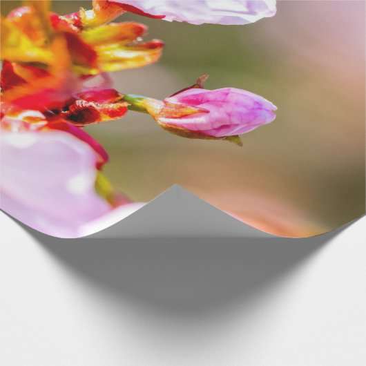 Hervorragende rosa Sakura-Blume Geschenkpapier (Ecke)