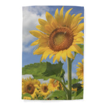 Hervorragende Sonnenblumen-Gartenflagge