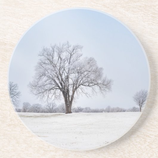 Hervorragende Wintereiche Getränkeuntersetzer (Vorne)