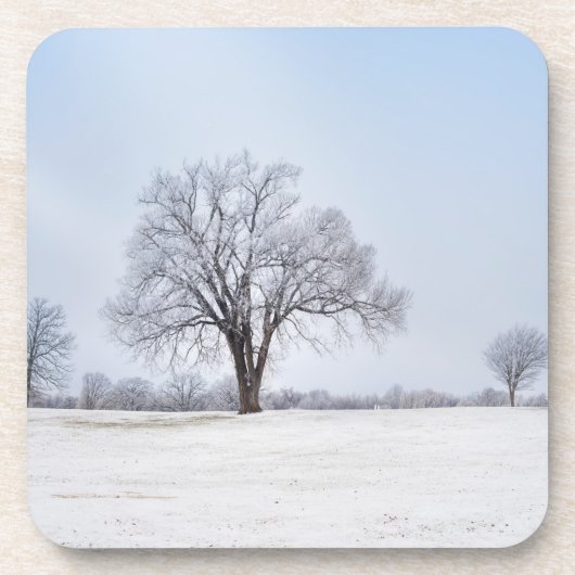 Hervorragende Wintereiche Getränkeuntersetzer (Vorderseite)