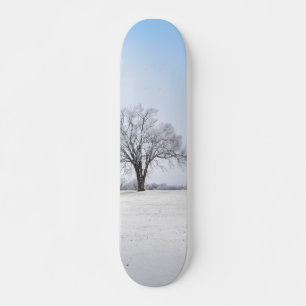Hervorragende Wintereiche Skateboard